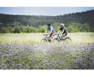 Bike Hire - Yorkshire Dales